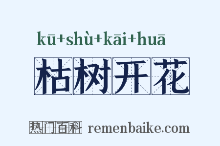 枯树开花是什么意思的图片